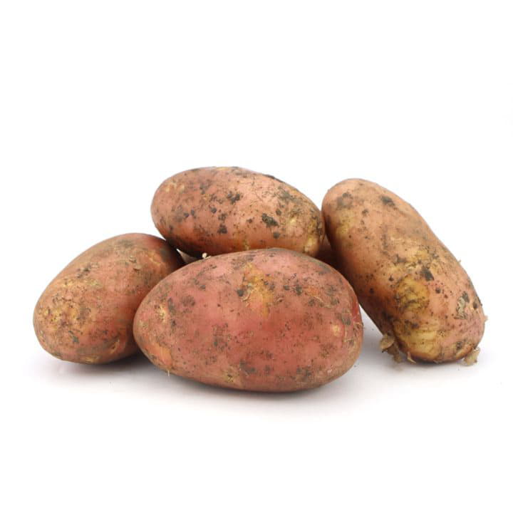 Картофель Ростов Гала Santreyd 5063 - Вид №1