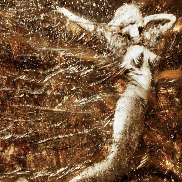 Арт-панель на холсте Alex Turco Woman Tribute Wild Siren In Bronze WILDSIRENINBRONZE