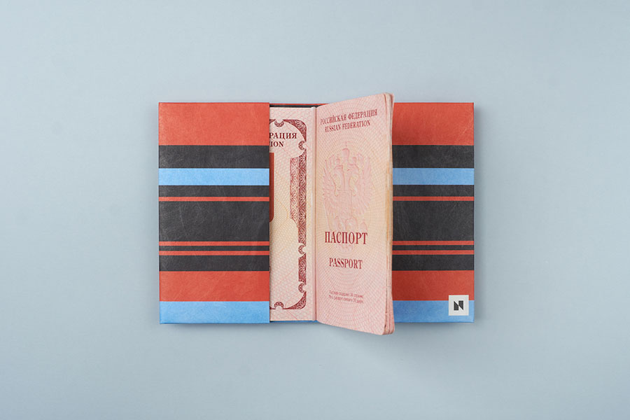 NС-031 Обложка на паспорт new tabby, в полоску New wallet  - Вид №3