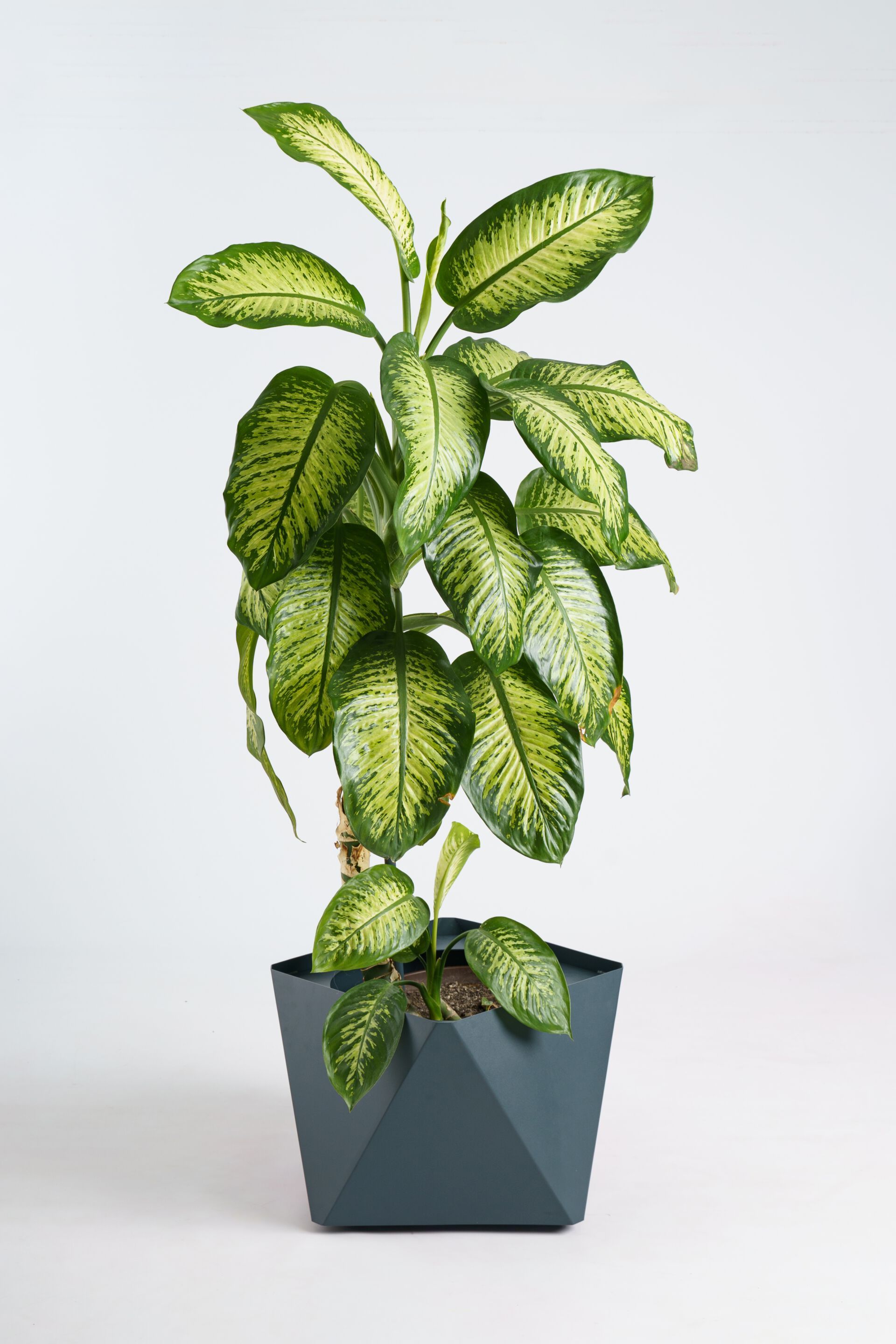 Садовый горшок Garda Furniture KINO ARCH-00086314 - Вид №4