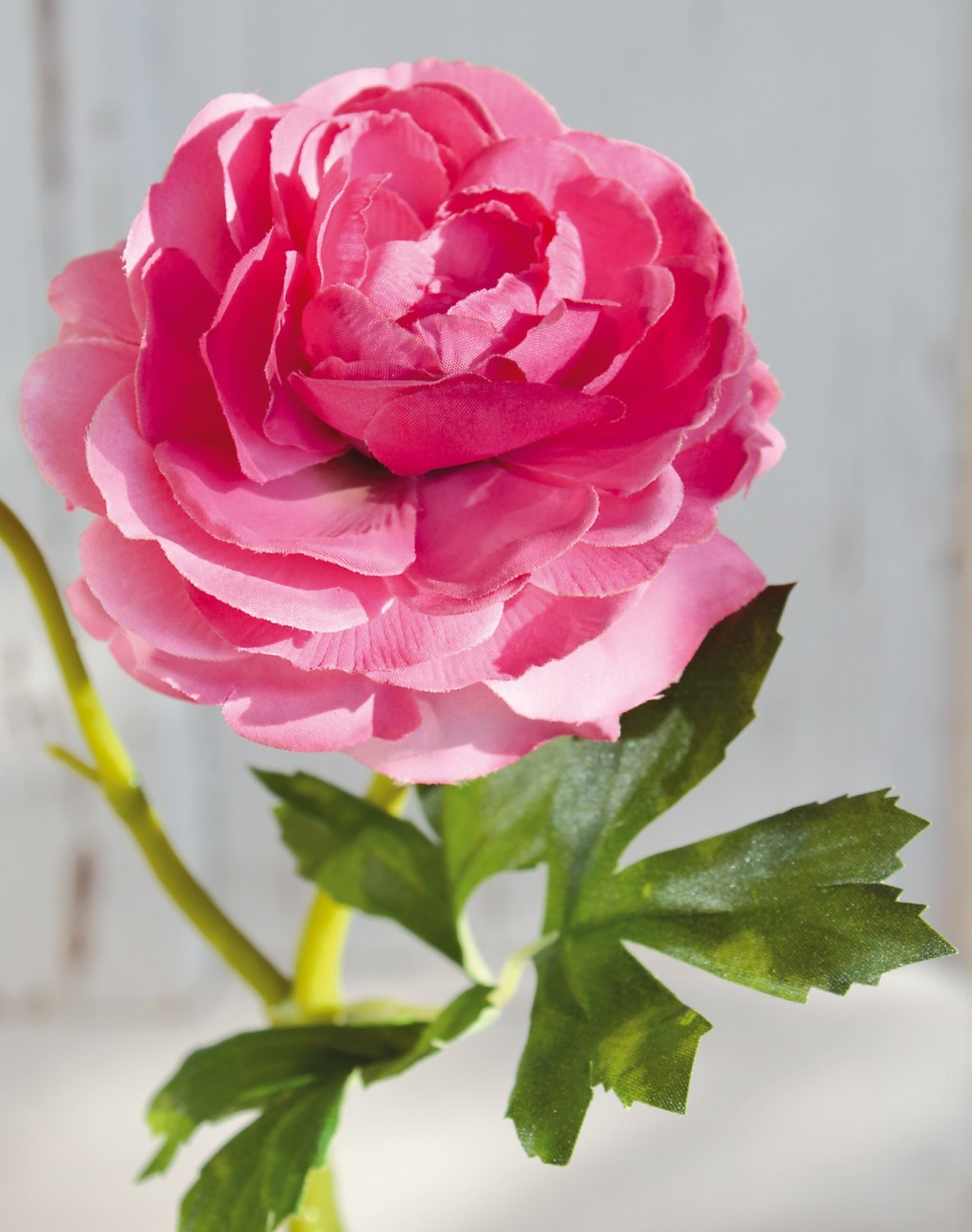 2450 515 a3 Лютик шелковый, 1 цветок, 1 бутон, 32 см, розовый H-andreas  - Вид №1