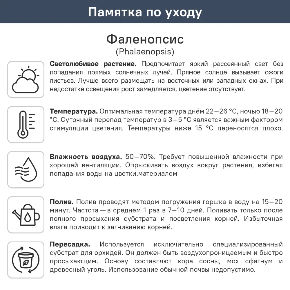 Фаленопсис ø12 h50 см 89447114 STLM-2048446 ГОРКУНОВ  - Вид №9