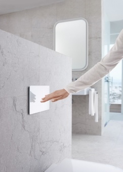 115.625.SI.1 клавиша смыва Geberit Sigma70, двойной смыв, для бачка Sigma 8 см., белое стекло Santreyd  - Вид №2