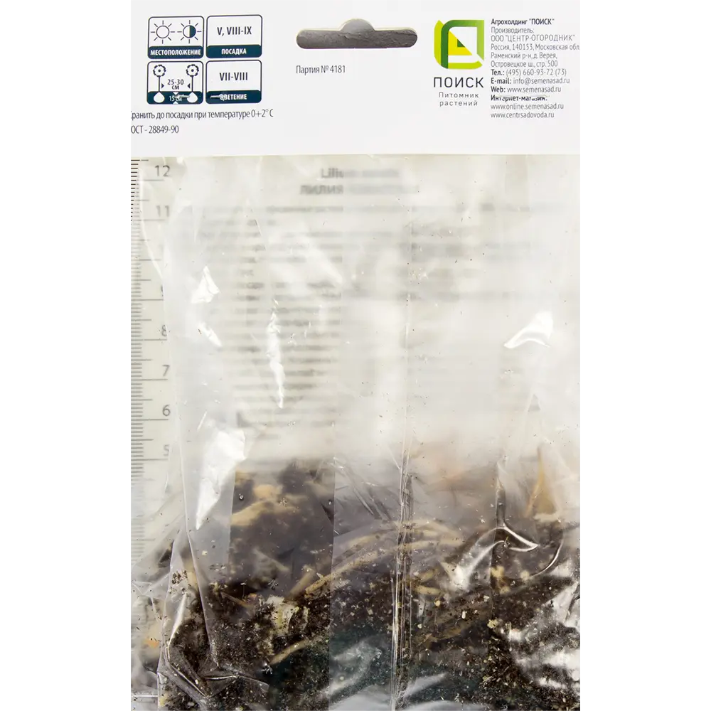 Лилия азиатская Розалин от Santreyd - розовый цветок для сада и букетов 82319577 STLM-0963454 - Вид №2