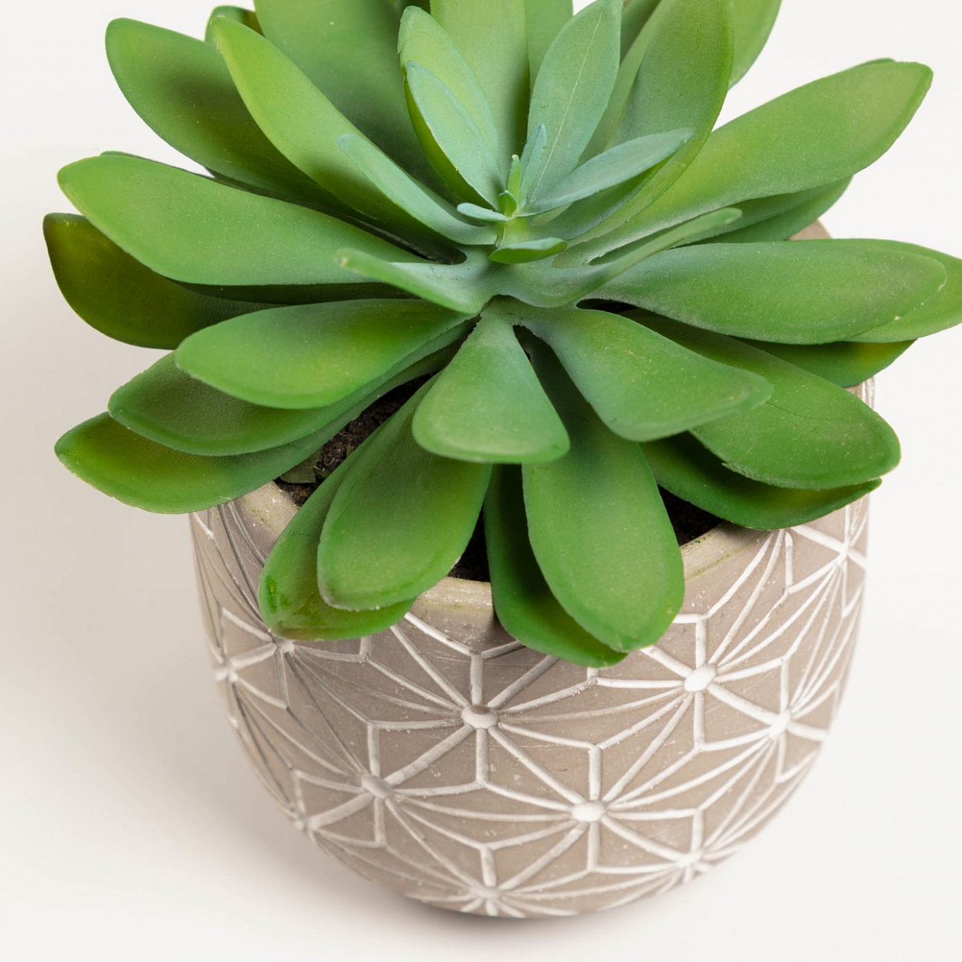 081756 Flower Искусственный кактус в цементном горшке 23.7 см La Forma Cactus - Вид №1