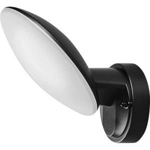 Светильник настенный светодиодный уличный Escada 10215/1 IP44