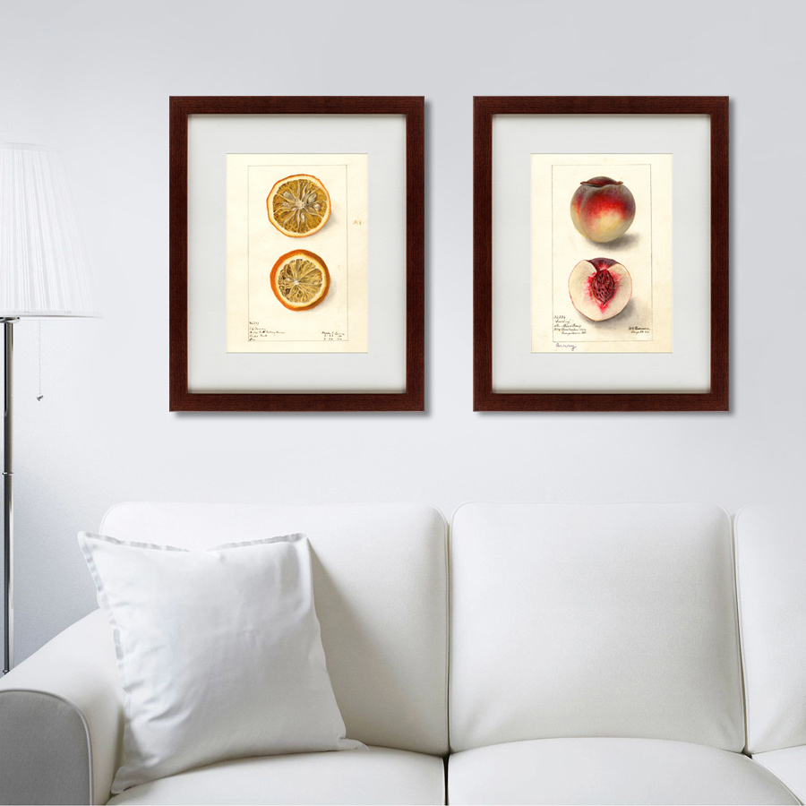 Картина: Watercolor collection, drawing №4, 1905 КАРТИНЫ В КВАРТИРУ  135756 Разноцветный  - Вид №2