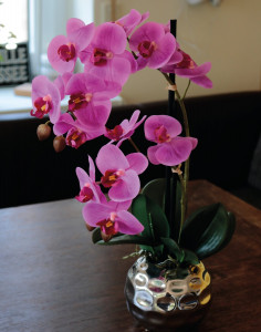 2772 420 a3 Пластиковая орхидея Phalaenopsis, 2-х кратная, горшечная, 45 см, real touch, вишня H-andreas