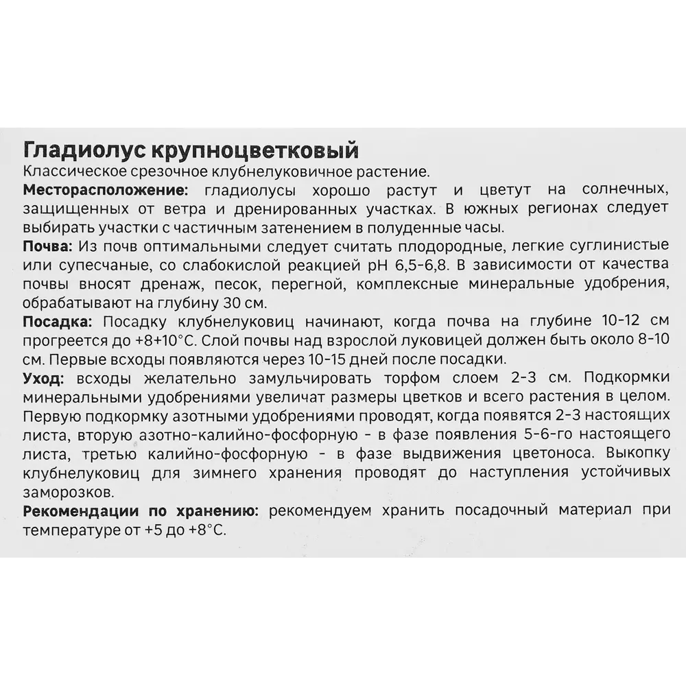Гладиолус Найтмэр, 3 шт. 89349345 STLM-2085671 GEOLIA  - Вид №1