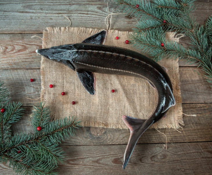 9485 Осетр охлаждённый Вкусляндия 