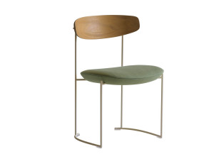 Сани сад стул