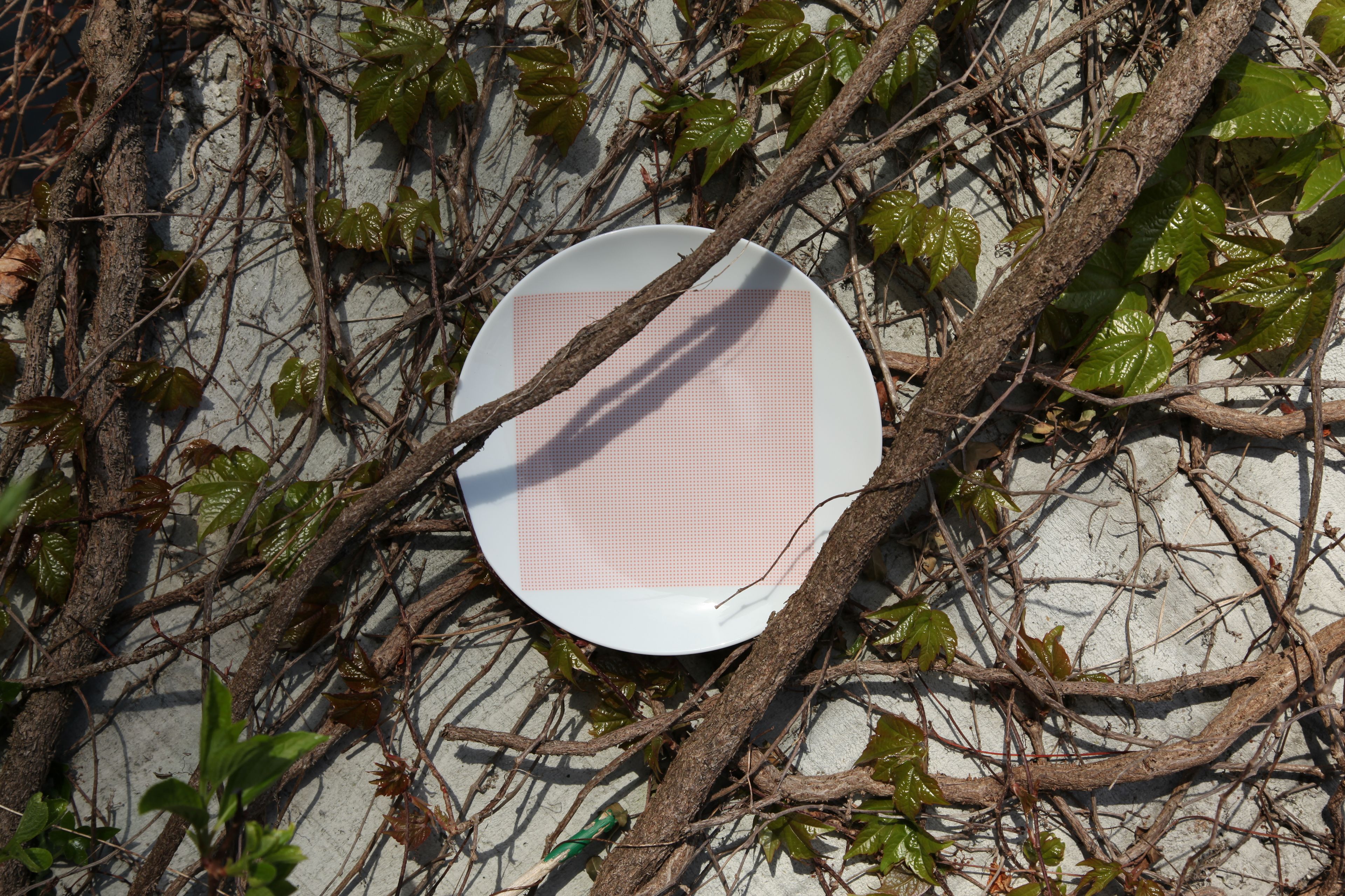 Фарфоровая сервировочная тарелка Non Sans Raison Square ARCH-00146279 - Вид №1