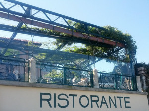 Алюминиевый и стеклянный экран dehors