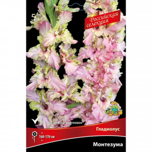 83596855 Гладиолус Монтезума луковица 12