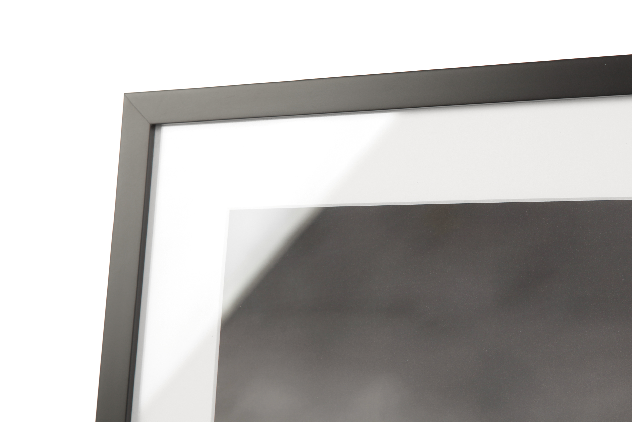 2000983162304 Постер The Lone Tree LA FORMA  - Вид №2