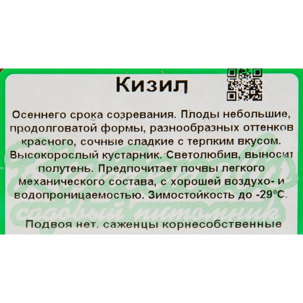 Кизил плодовый «Видовая норма» C2 высота 30 см 82597088 STLM-2070280 Santreyd  - Вид №1