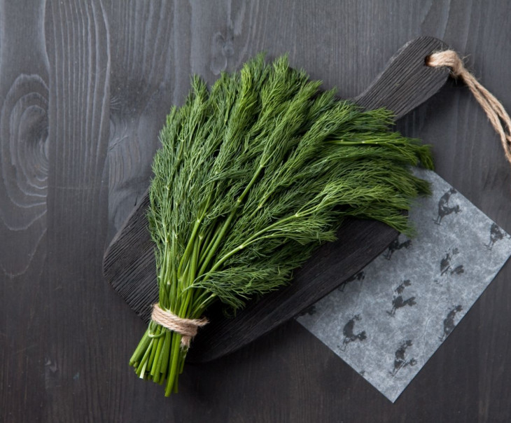 8510 Укроп 100г Вкусляндия 