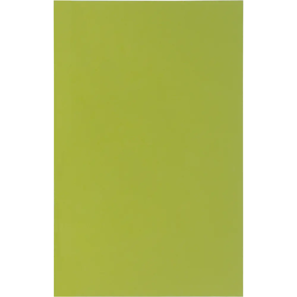 Дверь для шкафа Delinia «Васаби» 45x70 см, пластик, цвет зелёный STLM-2160158