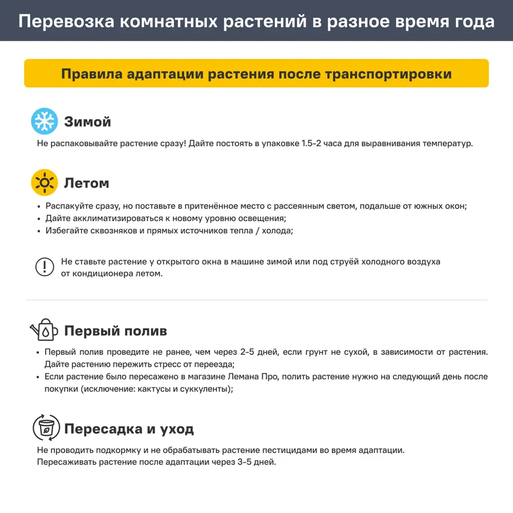 Суккулент ø6 h10 см 89389490 STLM-2078635 Santreyd  - Вид №2