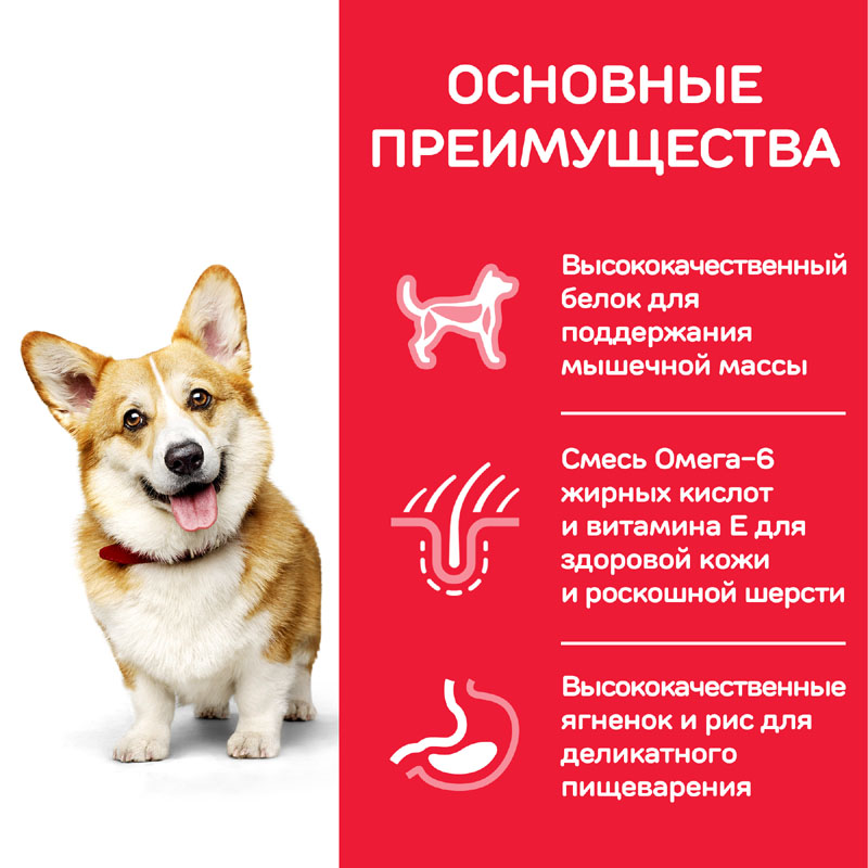 ПР0037502 Корм для собак Hill"s для миниатюрных пород, ягненок, рис сух. 1,5кг Hill's  - Вид №3