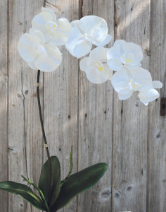 2526 700 a2 Искусственная орхидея Phalaenopsis, 73 см, real touch, чистый белый H-andreas