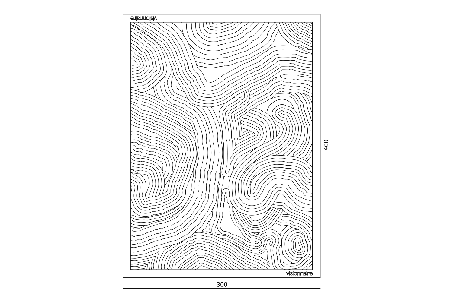 Regis Ковер Visionnaire  - Вид №4