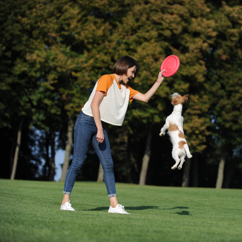 ПР0048716 Игрушка для собак Летающий диск d 24см красный PitchDog  - Вид №4