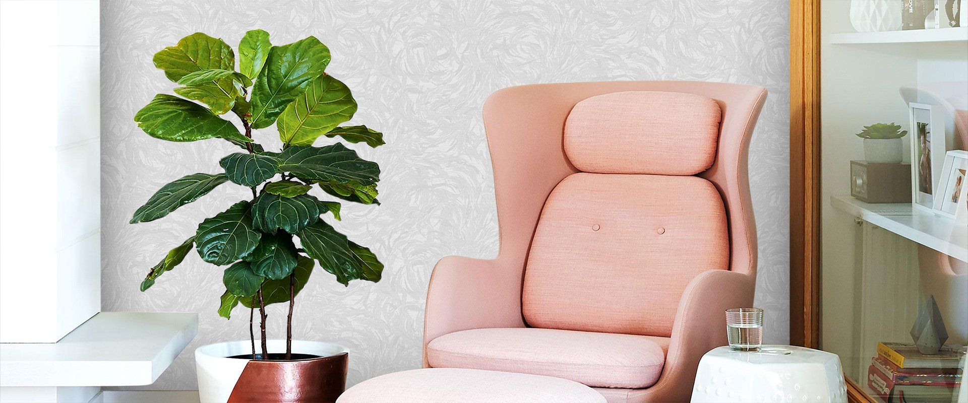 Victoria Stenova 998451 Фон VENERA 998451 - Вид №1