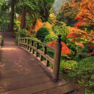 WP01060 Фотообои Verol Фотообои decoline 1х1 м