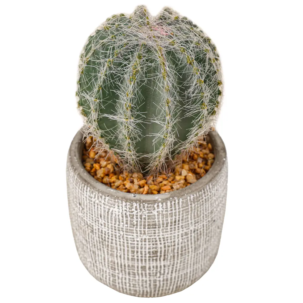 Искусственное растение в горшке Dream River Кактус 15 см STLM-2054049 - Вид №1