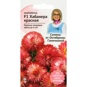 Маргаритка «Хабанера» красная F1 5 шт. 82481681 STLM-2124670
