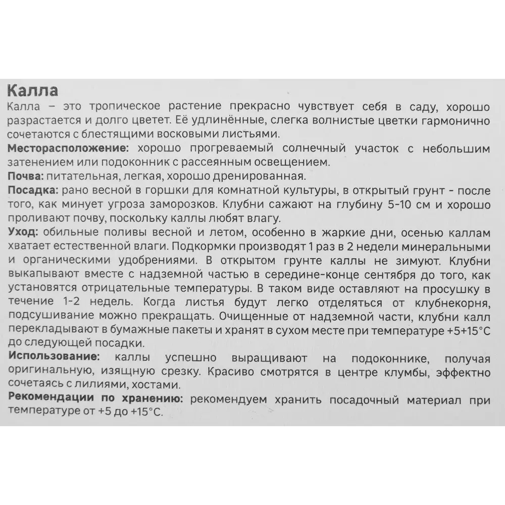 Калла Geolia Блэк Форист STLM-2125609 - Вид №3