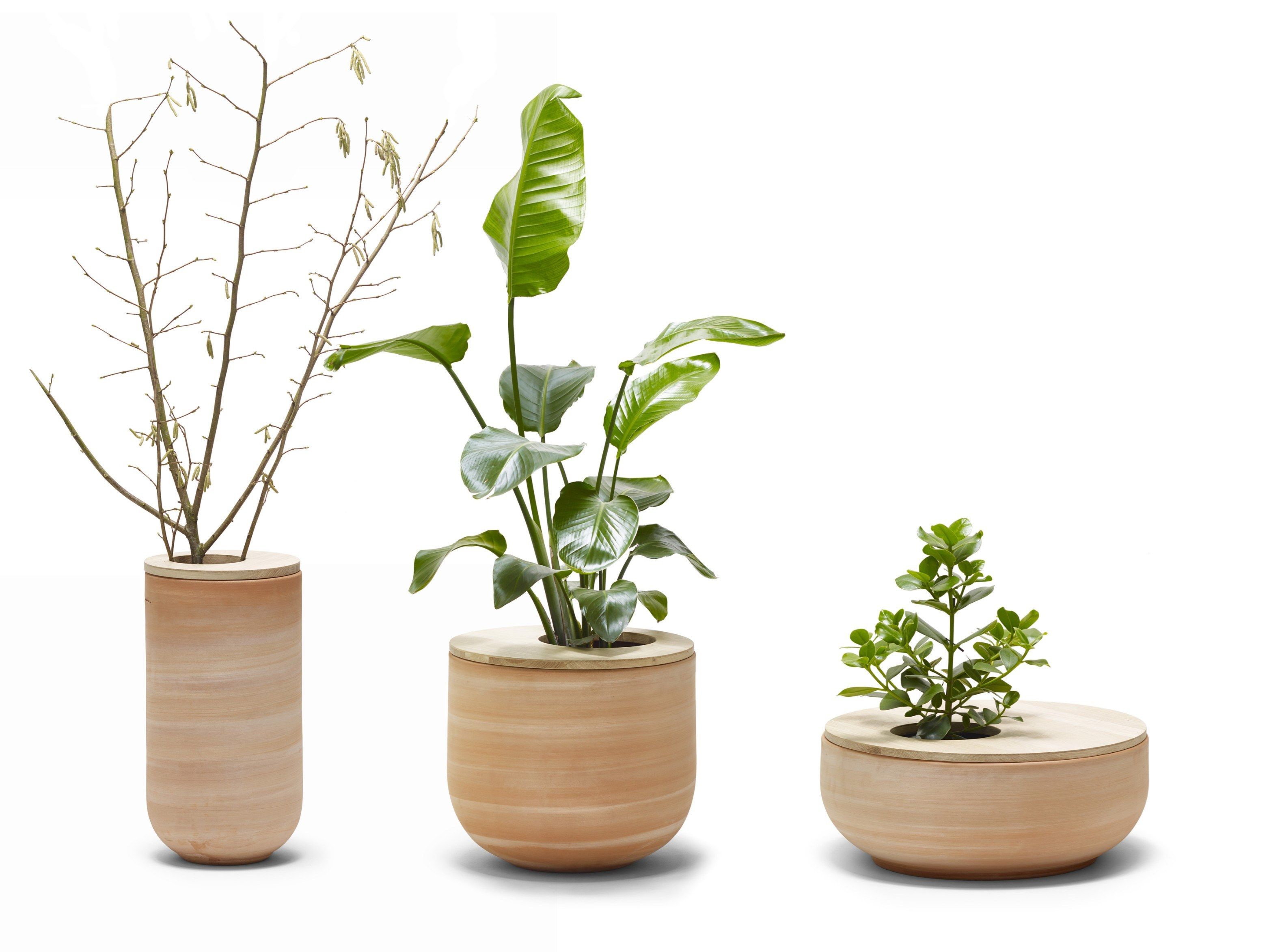 Терракотовая ВАЗа ручной работы ALKI Lur ARCH-00128306