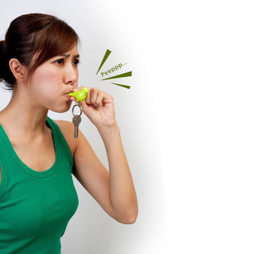 QL10091-WH-BK Держатель для ключей sparrow белый-черный Qualy  - Вид №1