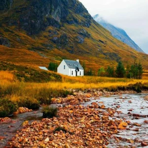 WP00904 Фотообои Verol Фотообои decoline 1х1 м