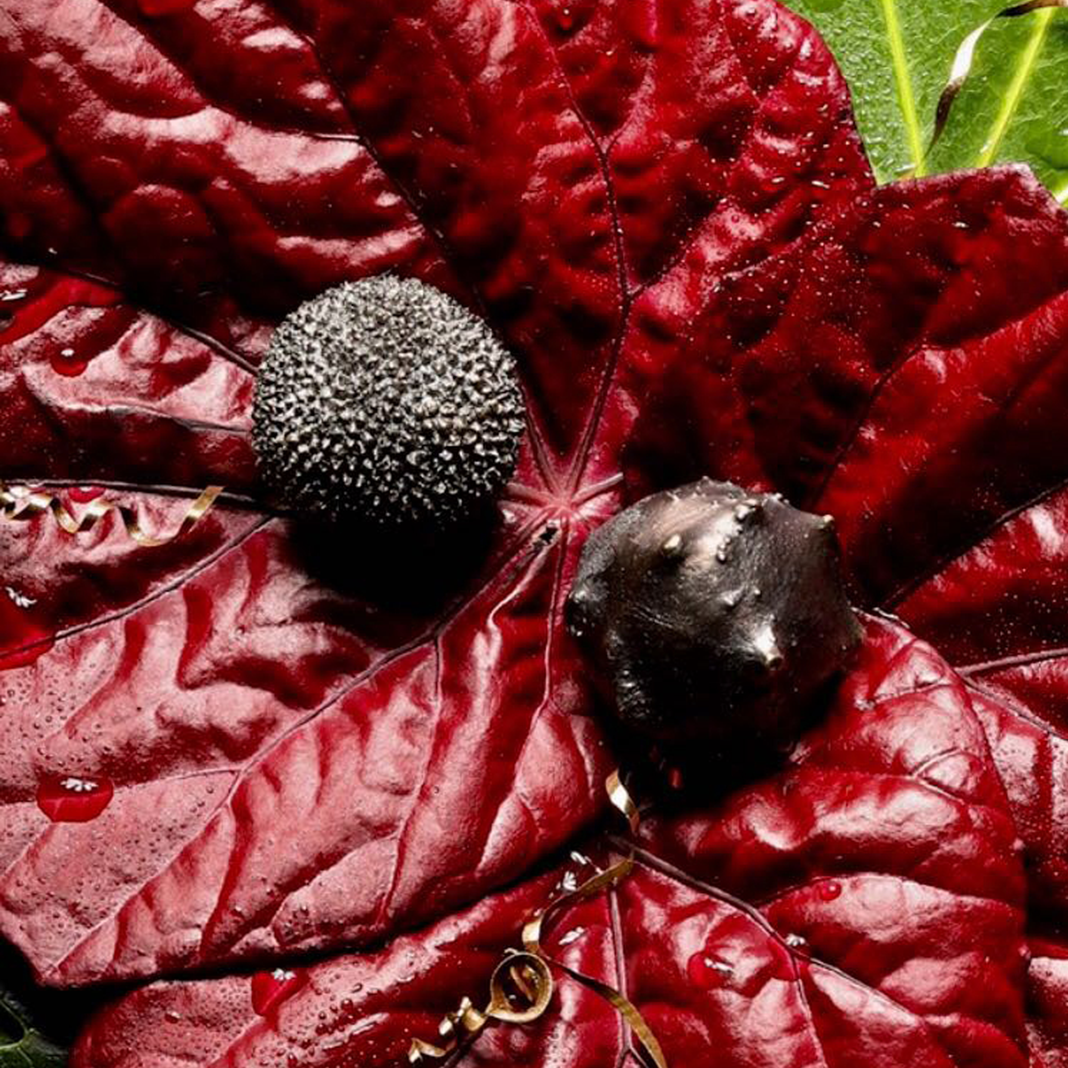 EA1019 Maple PULLCAST Earth Collection  - Вид №4