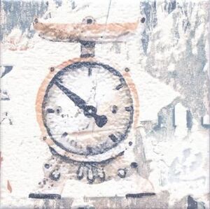 Виченца Весы ALD\A24\17000 15х15