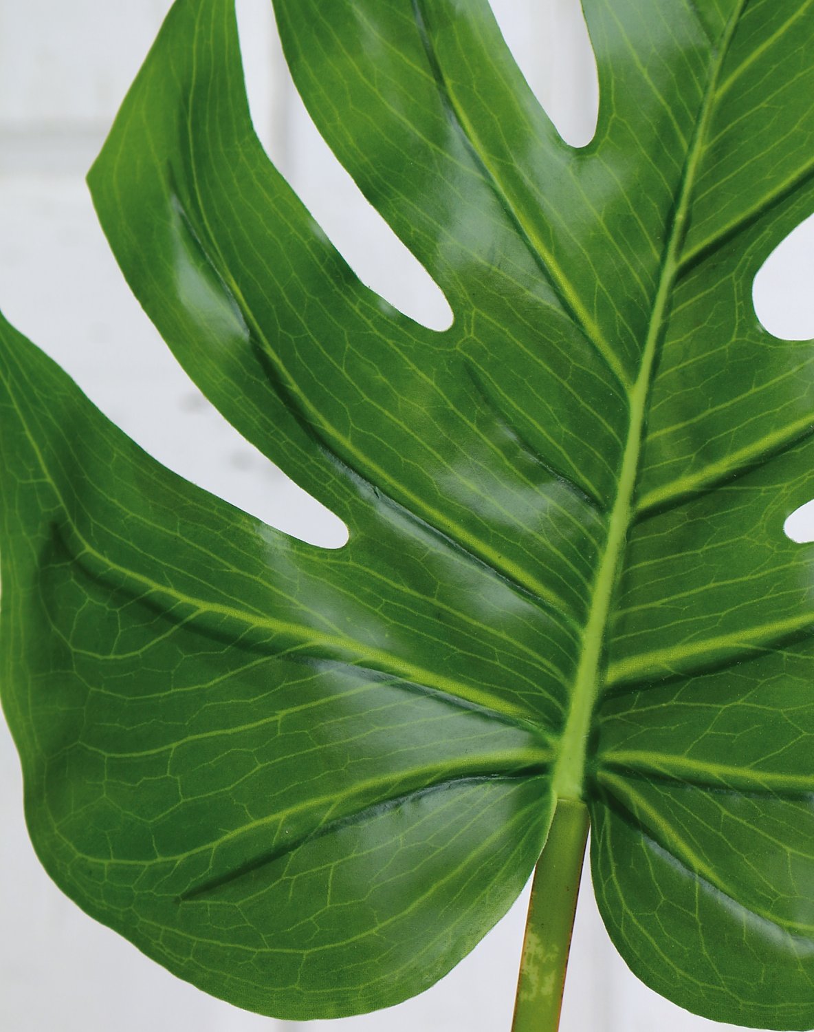 5886 883 a3 Пластиковый лист монстера, 78 см (лист 24 см), зеленый H-andreas 