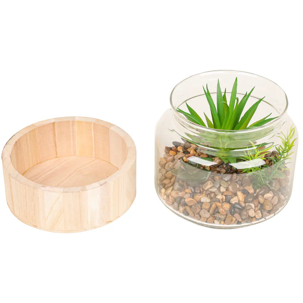 Декоративное растение Dream River в стеклянном горшке 17.5 см 89432357 STLM-1568177 - Вид №3