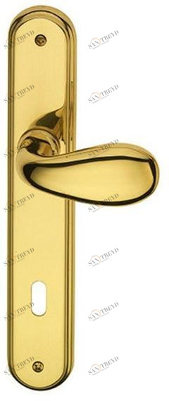 Pasini Ручка из латуни на пластине с накладкой  3580 