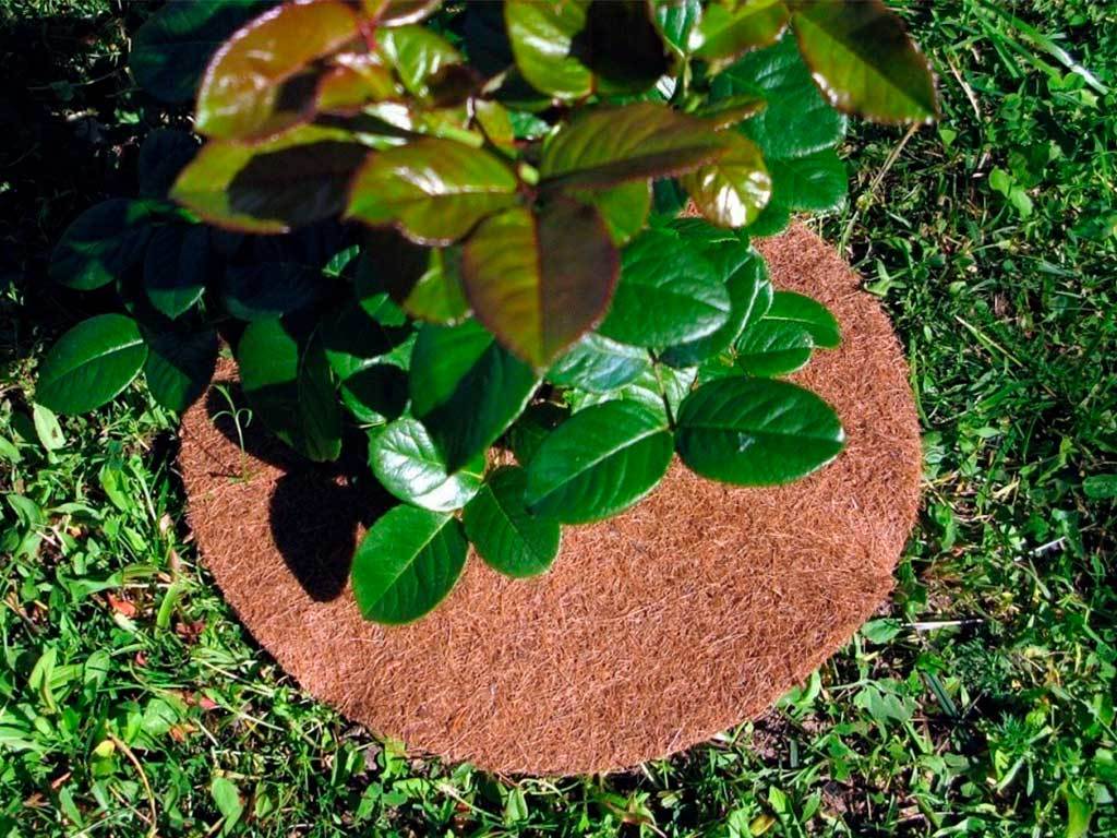 Круг приствольный Мульчаграм 60 см, комплект - 5шт ГеоПластБорд GPBST-236 - Вид №12