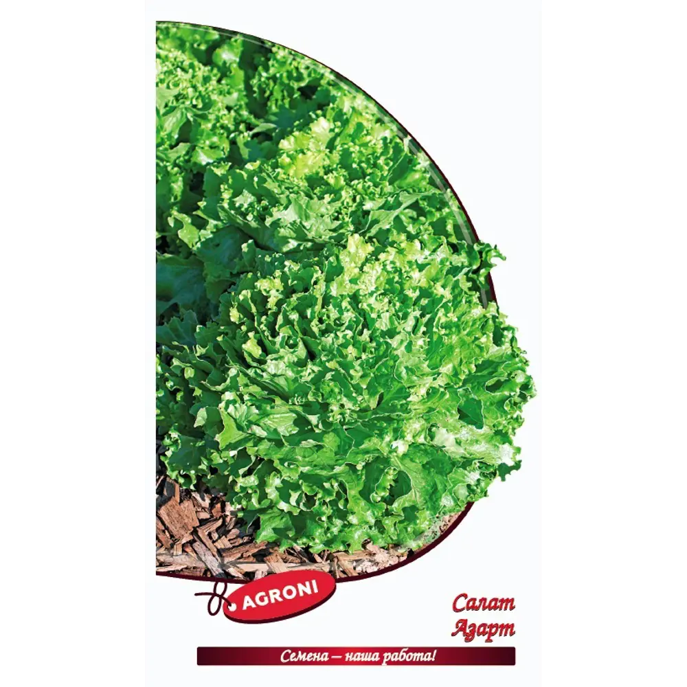 Семена трав Азарт 89400865 STLM-2072912 AGRONI 