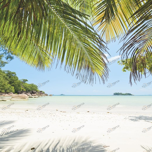 SH028-VD2-Under-The-Palmtree Фотообои Komar Stefan Hefele 1.5х2 м SH028VD2UNDERTHEPALMTREE