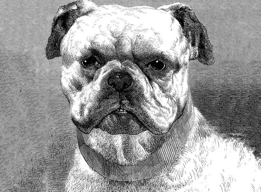 Architects Paper Обои с цифровой печатью Ap digital iv 108930 - Вид №1