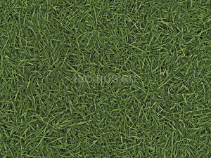 Линолеум бытовой SMART NEO - СМАРТ НЕО i457825