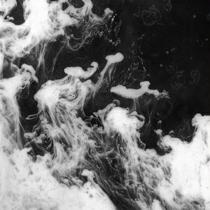 Арт-панель на холсте Alex Turco Liquid Dreams Black Souls