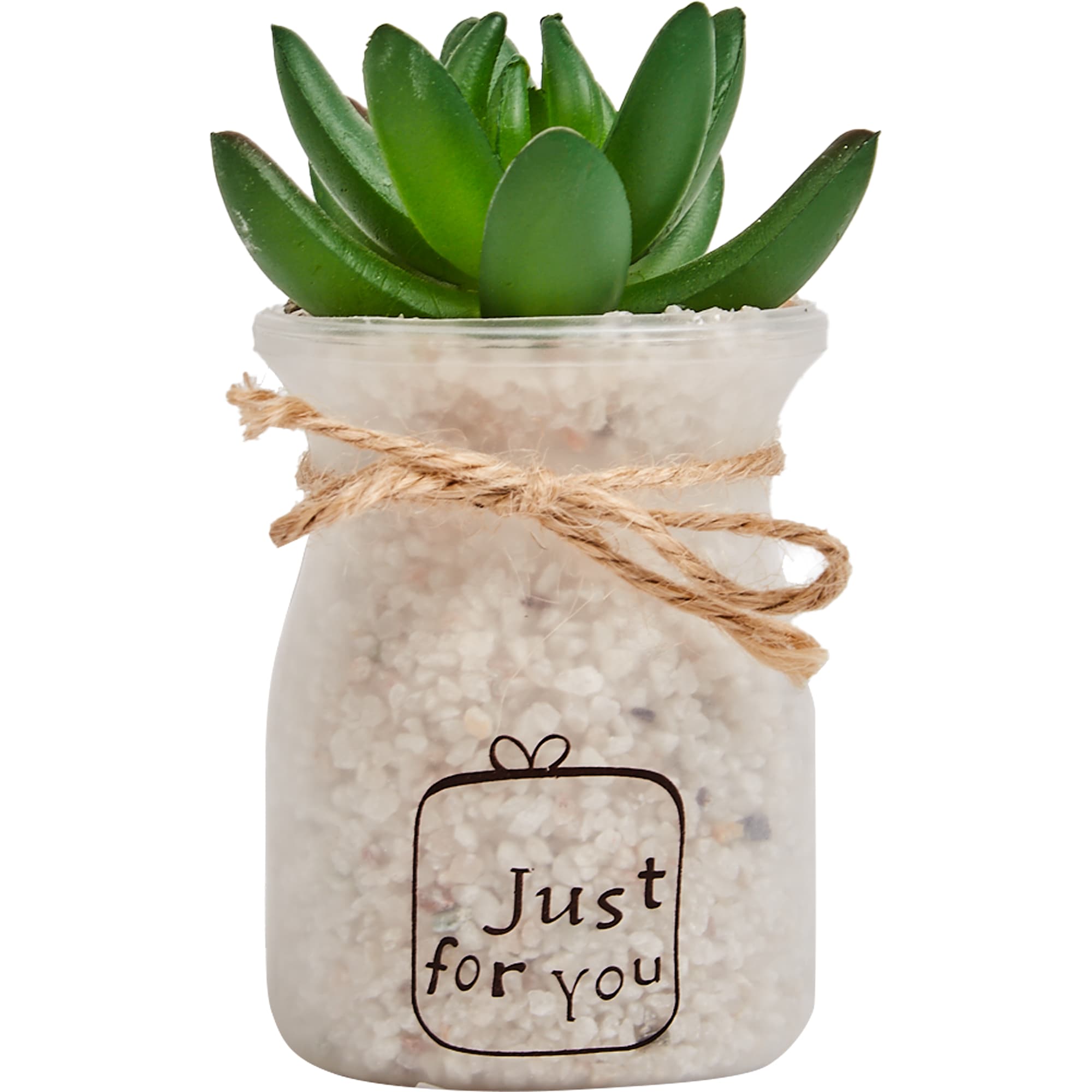 88249644 Искусственное растение в полупрозрачном горшке вид 1 Santreyd 