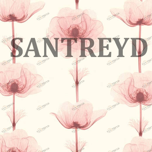 34273-3 Обои A.S. Creation X-Ray 342733