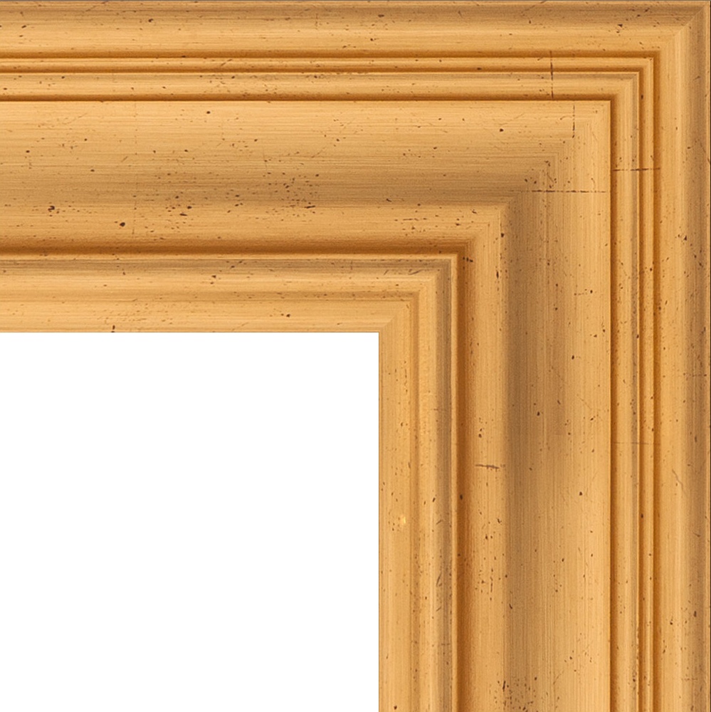 BY 6025 Зеркало напольное в багетной раме - травленое золото 99 mm EVOFORM Definite floor - Вид №5