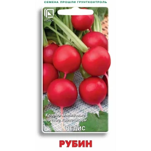 Семена овощей Поиск редис Рубин